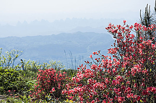 xổ số tuần rồi