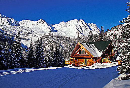 frankfred casino