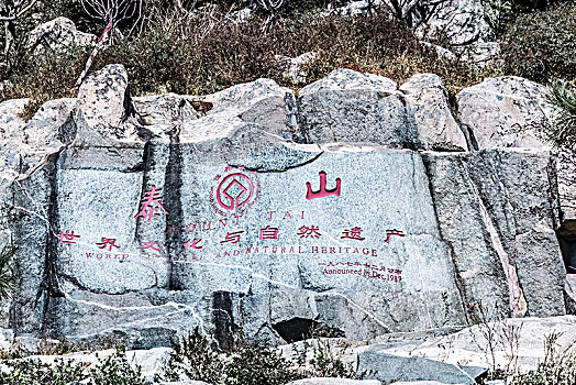 xsmn dự đoán