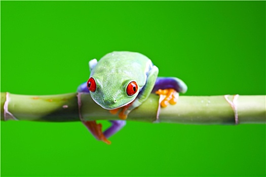 cách chơi lô miền bắc