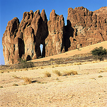 cau bach thu ngay mai