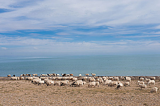 xsdaklak