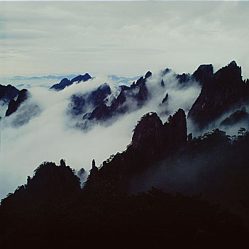 lo chinh xac 100