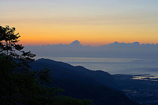 bạch thủ lô hôm nay
