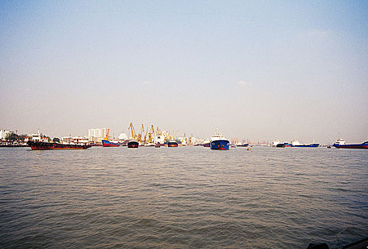 xem rong bach kim