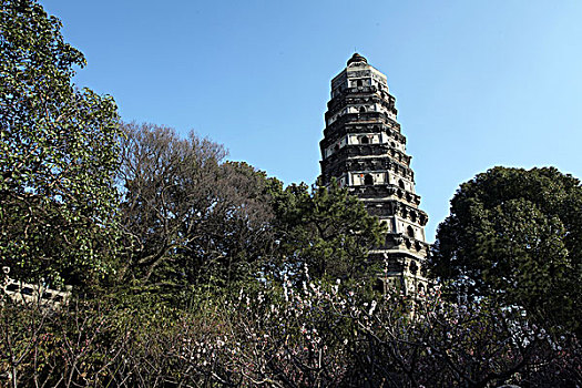 cau mb rong bach kim
