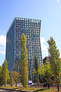 rong bach kim 88 99