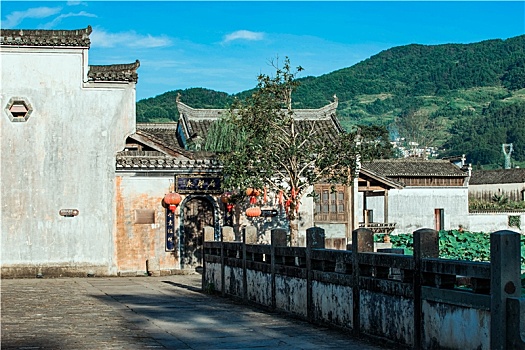 lo bach thu khung 5 ngay