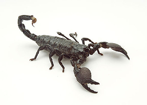 quay thử xổ số hôm nay