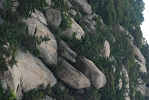 game nông trại kết hợp đánh bài