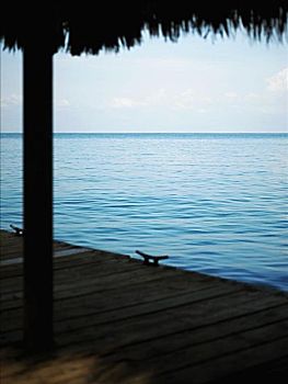 lô bạch thủ ngày hôm nay