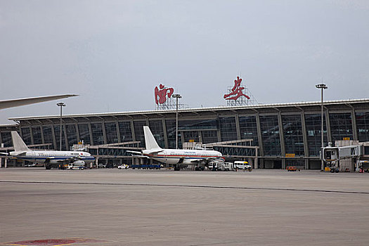 soi cau lo rong bach kim