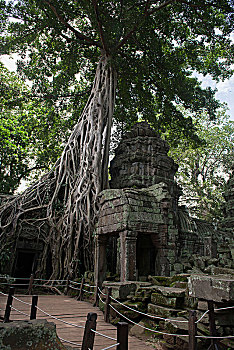 soi cau xsmb 6886