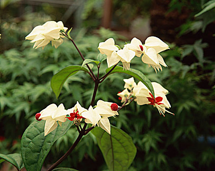 tra cứu xổ số miền nam