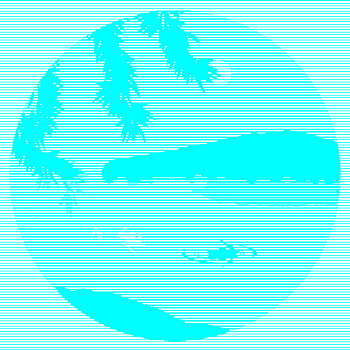 wap bongda