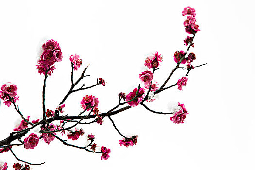 xsmn thu tu
