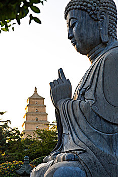 lô bach thu hom nay