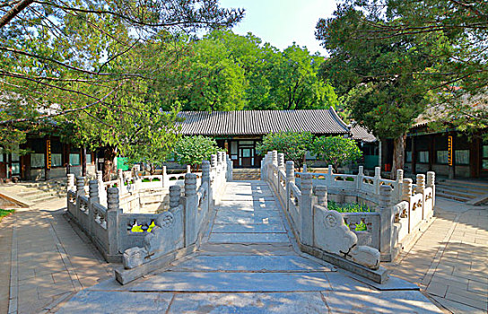soi cau vip binh dinh