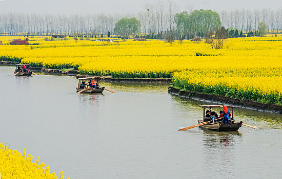 dự đoán xổ số tây ninh hôm nay