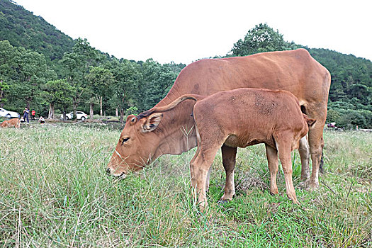 tỷ lệ lô đề miền bắc
