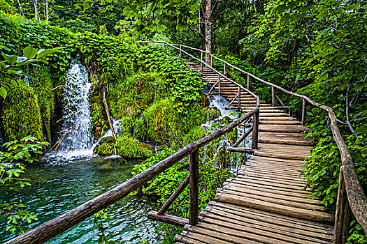 bach thu lo kep khung 5 ngay