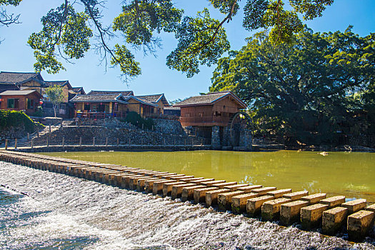 soi cau rong bach kim 88