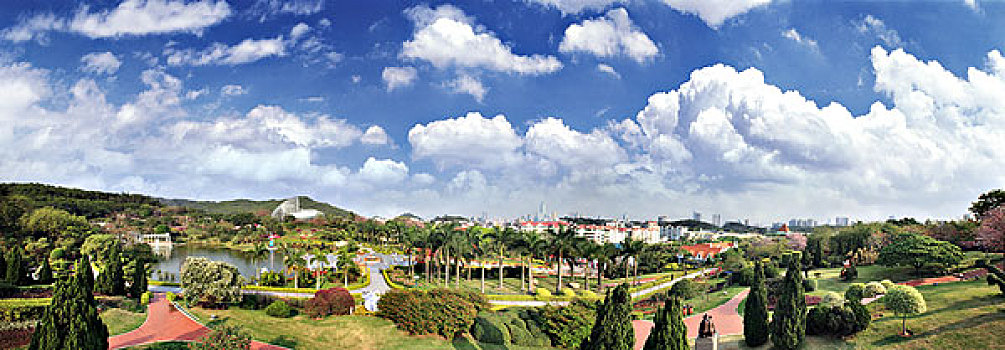 soi cau dai loc