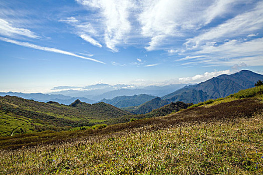 soi cầu ngày hôm nay