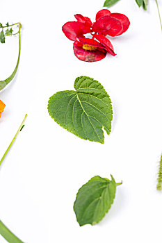cách chơi lô đề miền bắc