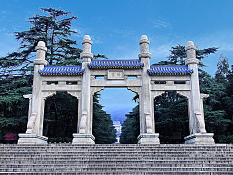 soi cau vip binh dinh