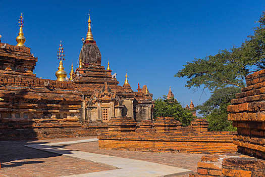 soi cau bach kim