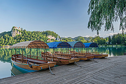 đánh đề trên mạng