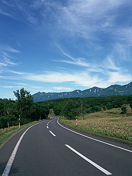 soi cau lo de rong bach kim