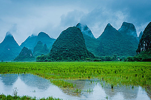 soi cau lo đê tp