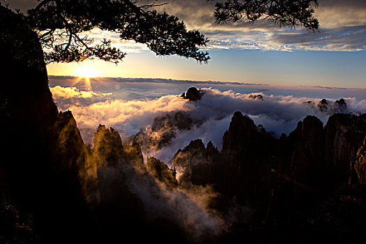soi cau binh dinh vina24h