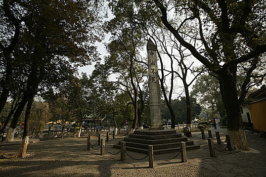 soi cau 3