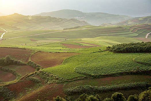 xổ số miền nam trong tháng