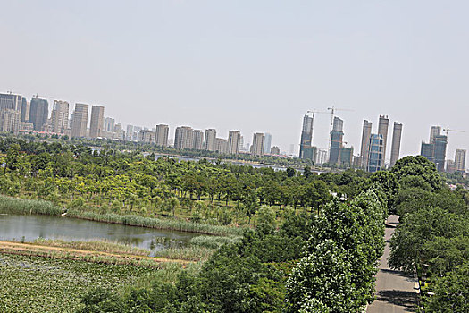 soi câu 247