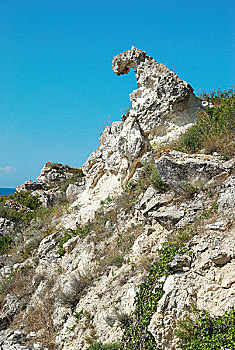 lo kep khung 5 ngay rong bach kim