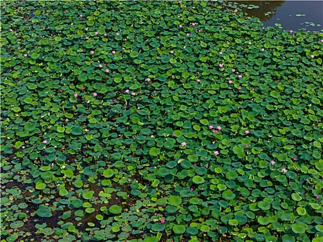 dự đoán xổ số miền nam thứ hai