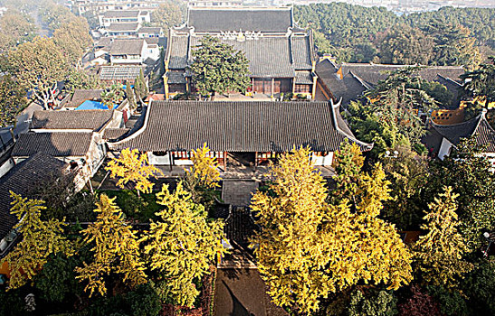 lo khung rong bach kim