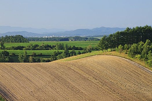 soi cau mb ngay mai