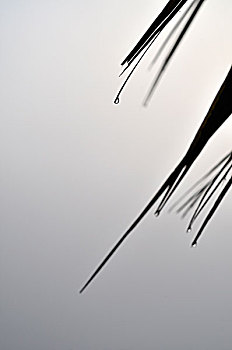 cach danh lo mien nam