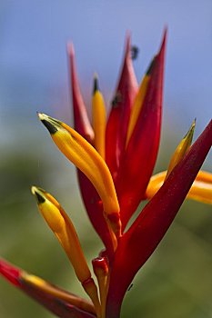dự đoán xổ số thành phố hồ chí minh