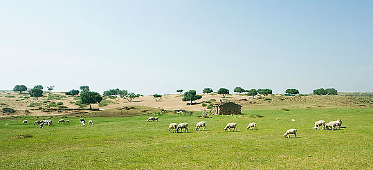 thống kê bạch thủ