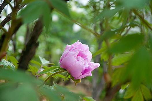 xo so ha noi hom nay