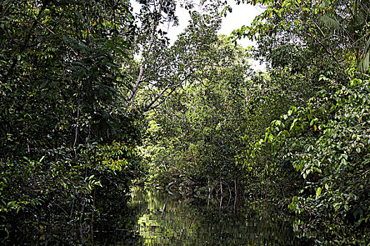 soi cau mb sieu chuan