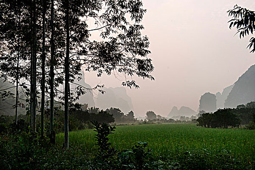 soi cau bạch thu xsmb