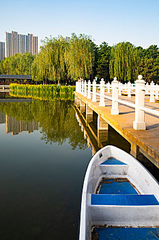 đề hôm nay con gì