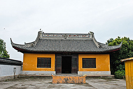 đề hôm nay con gì